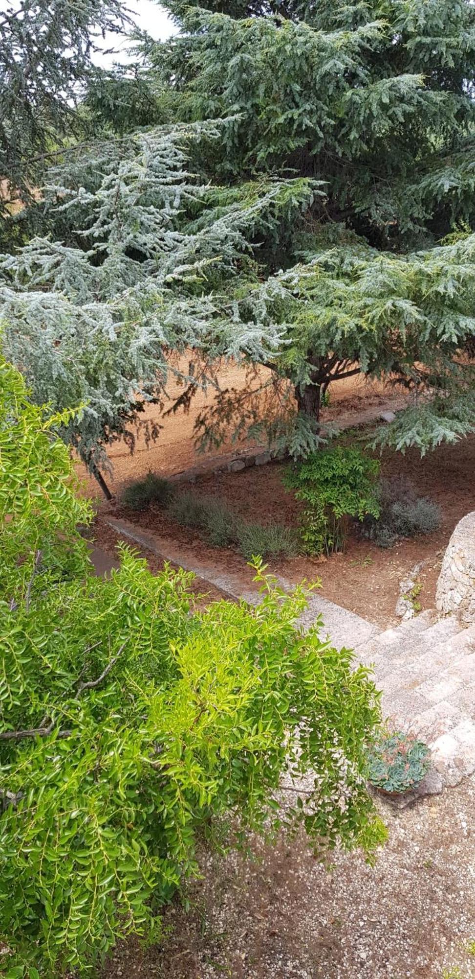 Villa Isabella Ostuni Eksteriør billede